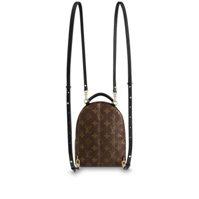 a885349900b6918c89b380e61272e893 Louis Vuitton Palm Springs Mini M41562