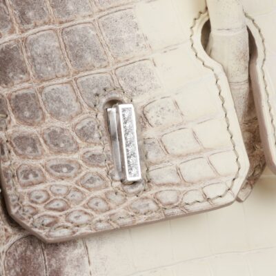 Hermès Birkin 25 Himalaya Niloticus Crocodile Palladium Hardware