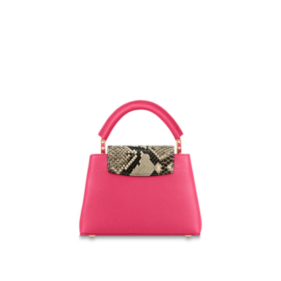 Louis vuitton Capucine BB