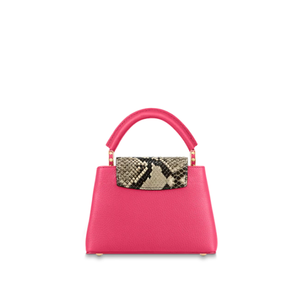 Louis vuitton Capucine BB