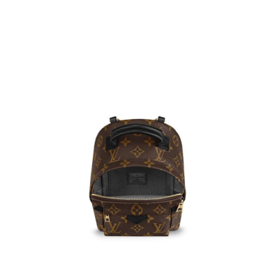 b5e081ab206cea5a1cbaaea696377d6c Louis Vuitton Palm Springs Mini M41562