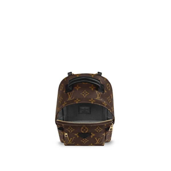 b5e081ab206cea5a1cbaaea696377d6c Louis Vuitton Palm Springs Mini M41562
