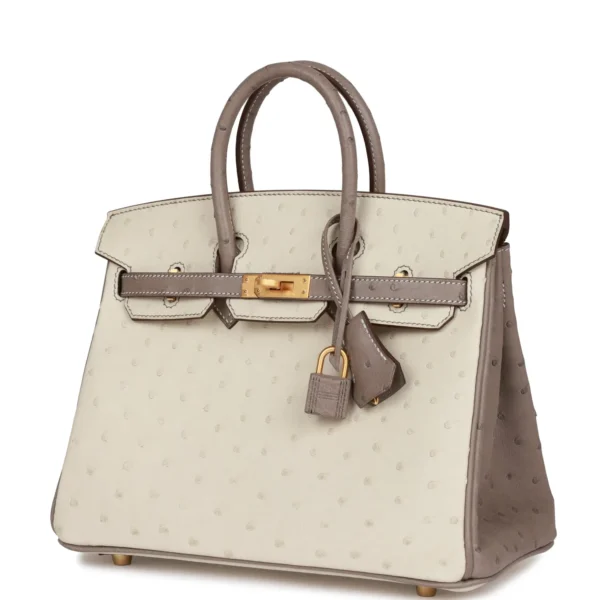 Hermès Special Order (HSS) Birkin 25 Beton and Gris Asphalte Ostrich Brushed Gold Hardware