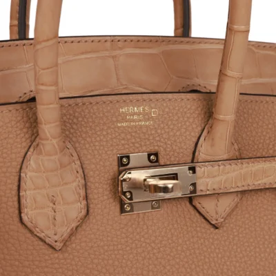Hermès Birkin 25 Chai Matte Alligator and Togo Touch Permabrass Hardware