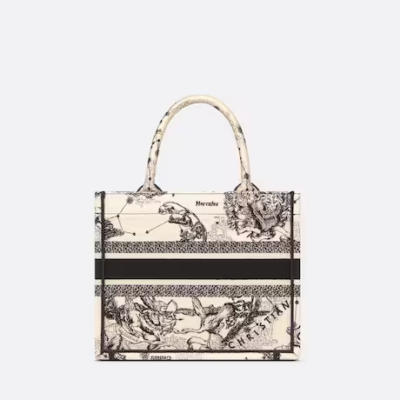 c2e1b836716a93a1fddf253772a8b1c8 SMALL DIOR BOOK TOTE
