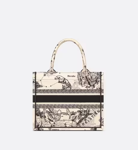 c2e1b836716a93a1fddf253772a8b1c8 SMALL DIOR BOOK TOTE