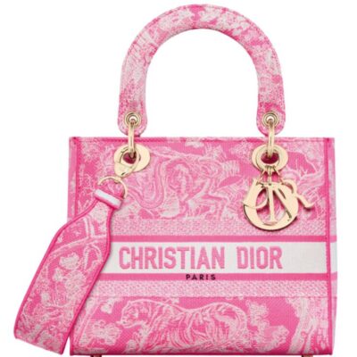 Dior Medium Lady d-Lite Bag