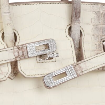 Hermès Birkin 25 Himalaya Niloticus Crocodile Palladium Hardware