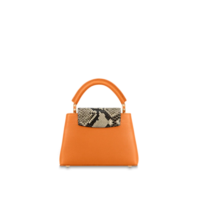 Louis vuitton Capucine MINI