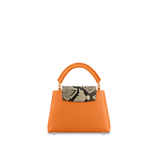 Louis vuitton Capucine MINI