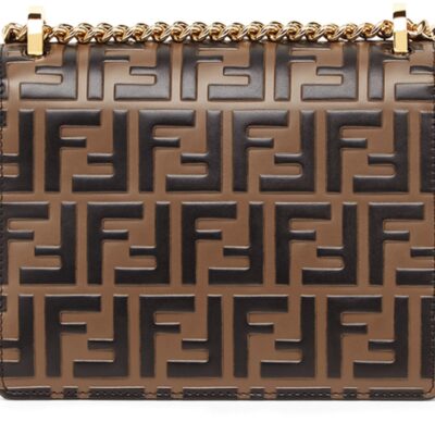 Fendi Kan U bag