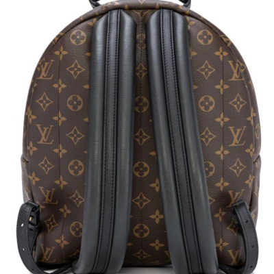 Louis Vuitton Palm Springs MM M41561