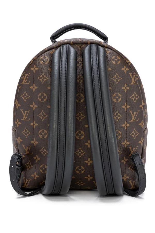Louis Vuitton Palm Springs MM M41561