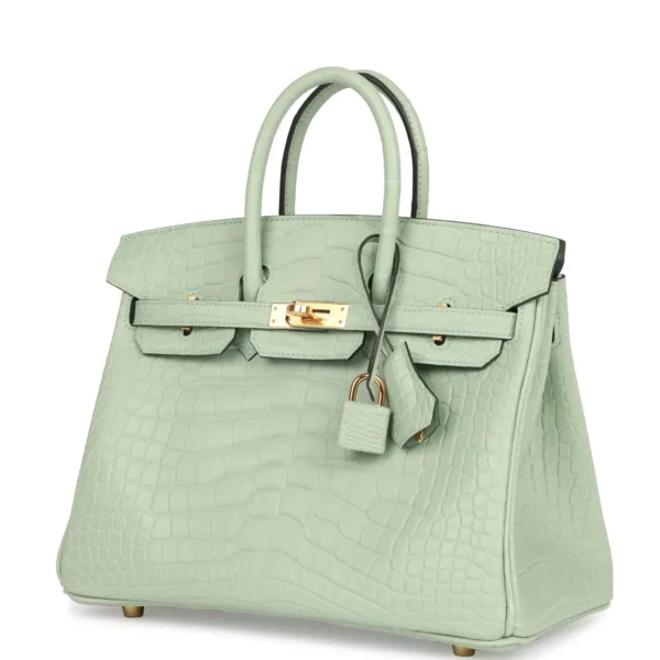 Hermès Birkin 25 Vert D'Eau Matte Alligator Gold Hardware