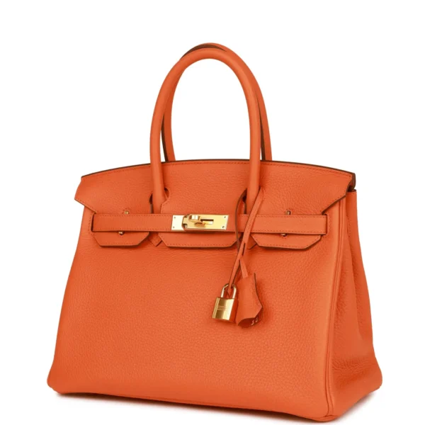 Hermès Birkin 30 Orange Clemence Gold Hardware