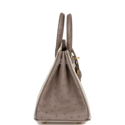 Hermès Special Order (HSS) Birkin 25 Beton and Gris Asphalte Ostrich Brushed Gold Hardware