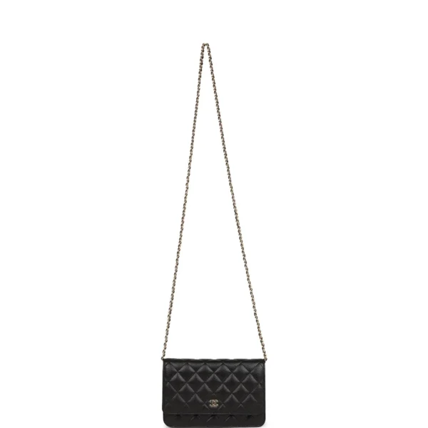 Chanel Wallet on Chain WOC Black Caviar Gold Hardware
