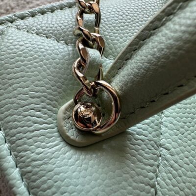 img_0b9f920c_20251208_i1765162865204_9101_0_4_jpg CHANEL 25S VANITY BAG 17 IN MINT GREEN CAVIAR LEATHER