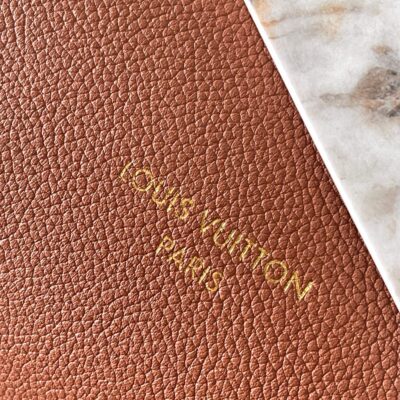 img_1578ca1d_20240925_a1727255947070_5712_jpg LOW KEY CABAS 47 IN SASSY SALMON GRAINED CALFSKIN GOLD BUCKLE