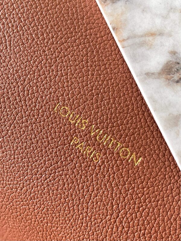 img_1578ca1d_20240925_a1727255947070_5712_jpg LOW KEY CABAS 47 IN SASSY SALMON GRAINED CALFSKIN GOLD BUCKLE