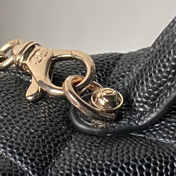 img_70762a6f_20251203_i1764702776232_7861_0_4_jpg CHANEL 25S VANITY BAG 20 IN BLACK CAVIAR LEATHER