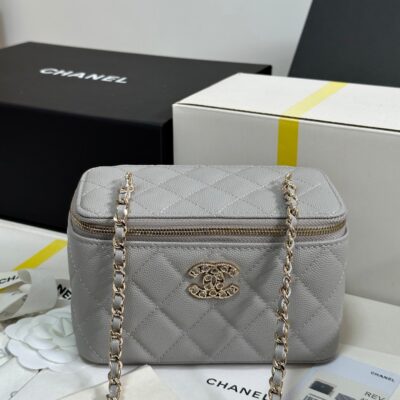 VANITY CASE 17 CRYSTAL STUDDED LOGO IN GREY CALFSKIN GOLD HARDWARE